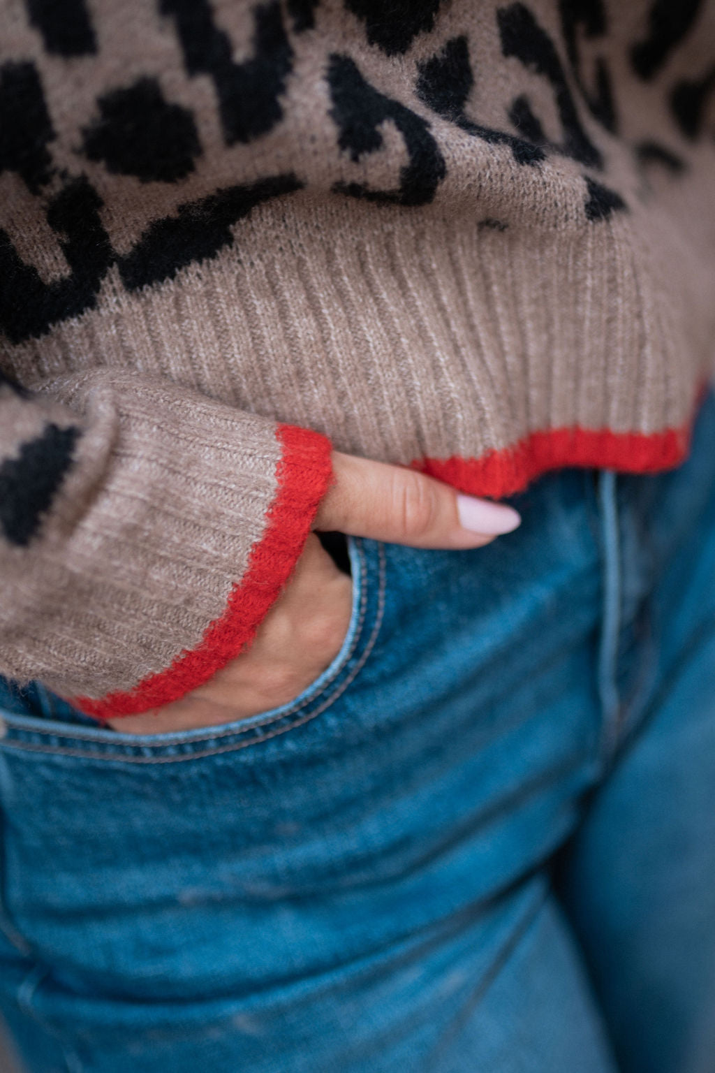 Camel Contrast Piping Animal Knit Jumper