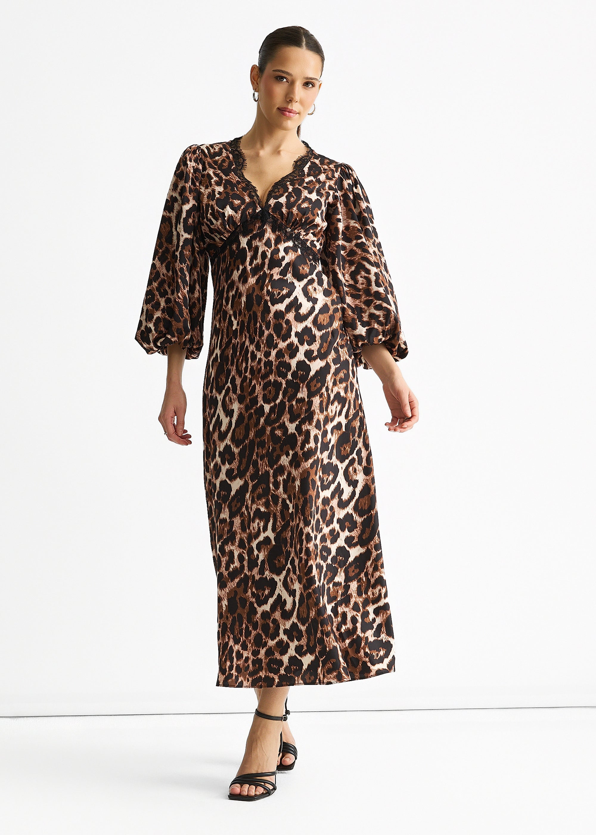 GL1781-BROWNANIMAL_2.jpg